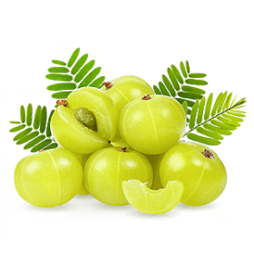img-1_1-6.png