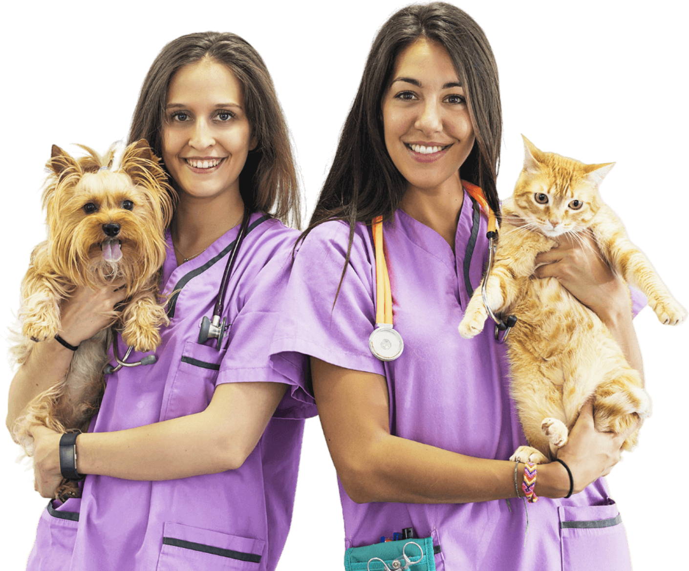 shutterstock_663985465-Photoroom-(1).png