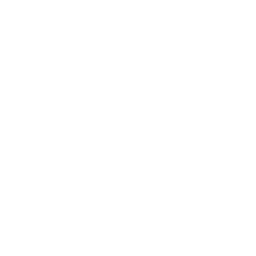 prime1.png